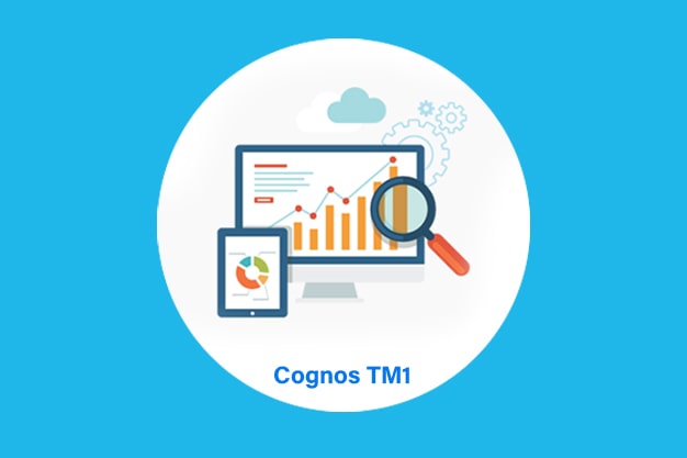 Cognos TM1 Training
