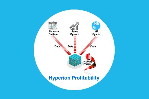 Hyperion Profitability Cost Management Training 