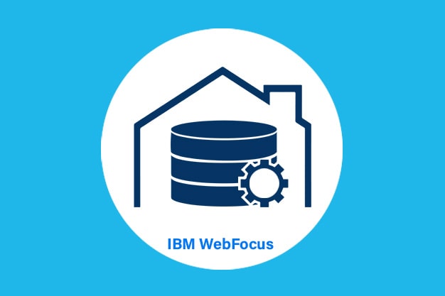 IBM_WebFocus_Training_Introduction.jpg