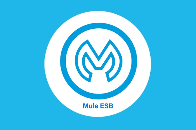 Mule ESB Online Training