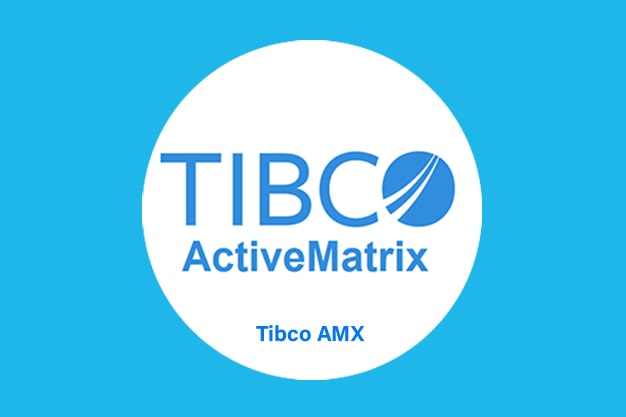 Tibco ActiveMatrix Service Grid Training