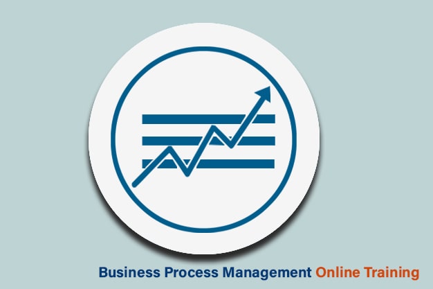 Business Process Management - ERP