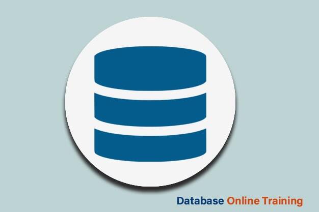DataBase